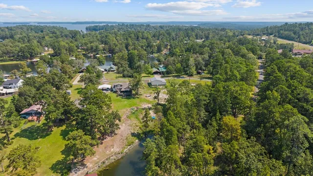 a view of a lush green forest with trees and some houses