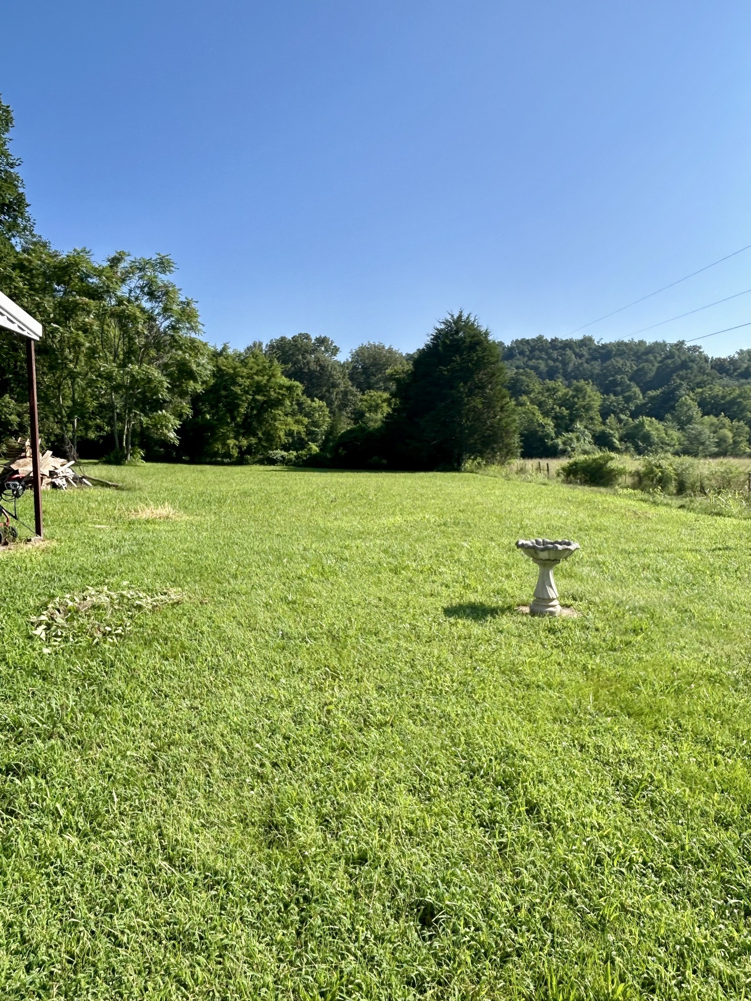 407 Main Street Prospect, TN 38477 - Photo 11 of 11 a view of a field with an trees