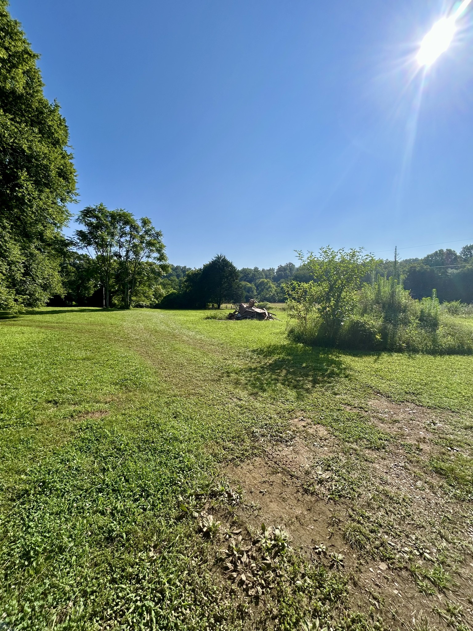 407 Main Street Prospect, TN 38477 - Photo 10 of 11 a view of a garden with a building in the background