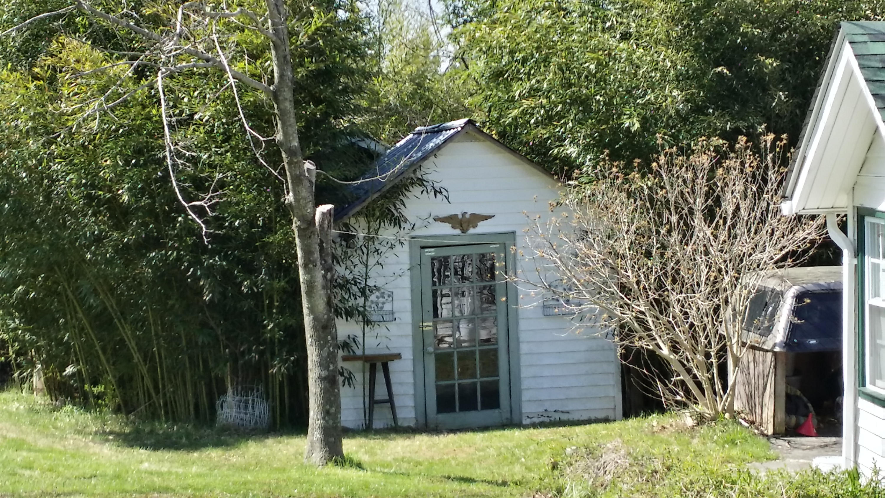 1388 Shadow Mountain Lane Blue Ridge, VA 24064 - Photo 3 of 55 OUTBUILDING
