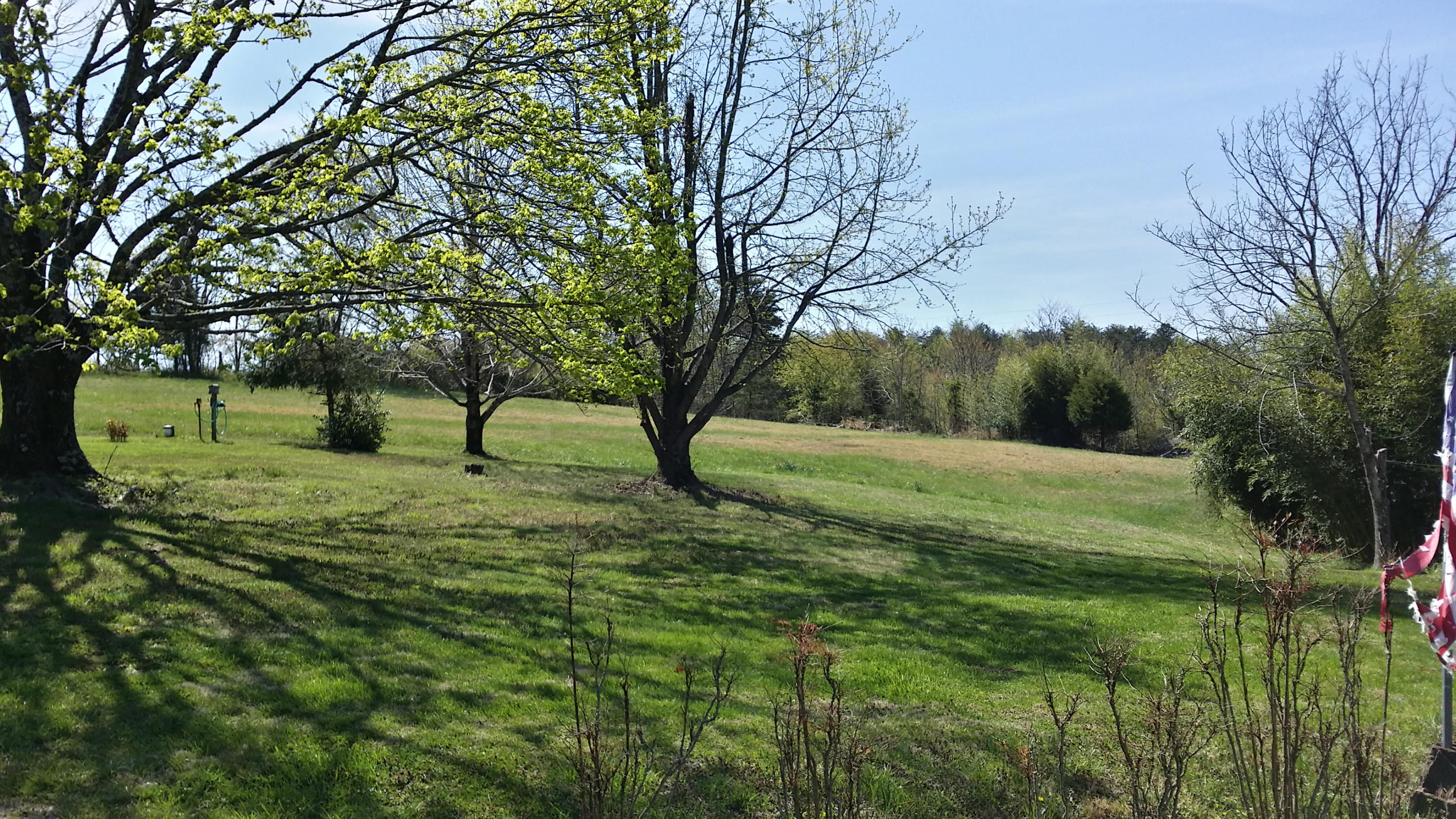 1388 Shadow Mountain Lane Blue Ridge, VA 24064 - Photo 4 of 55 LAND
