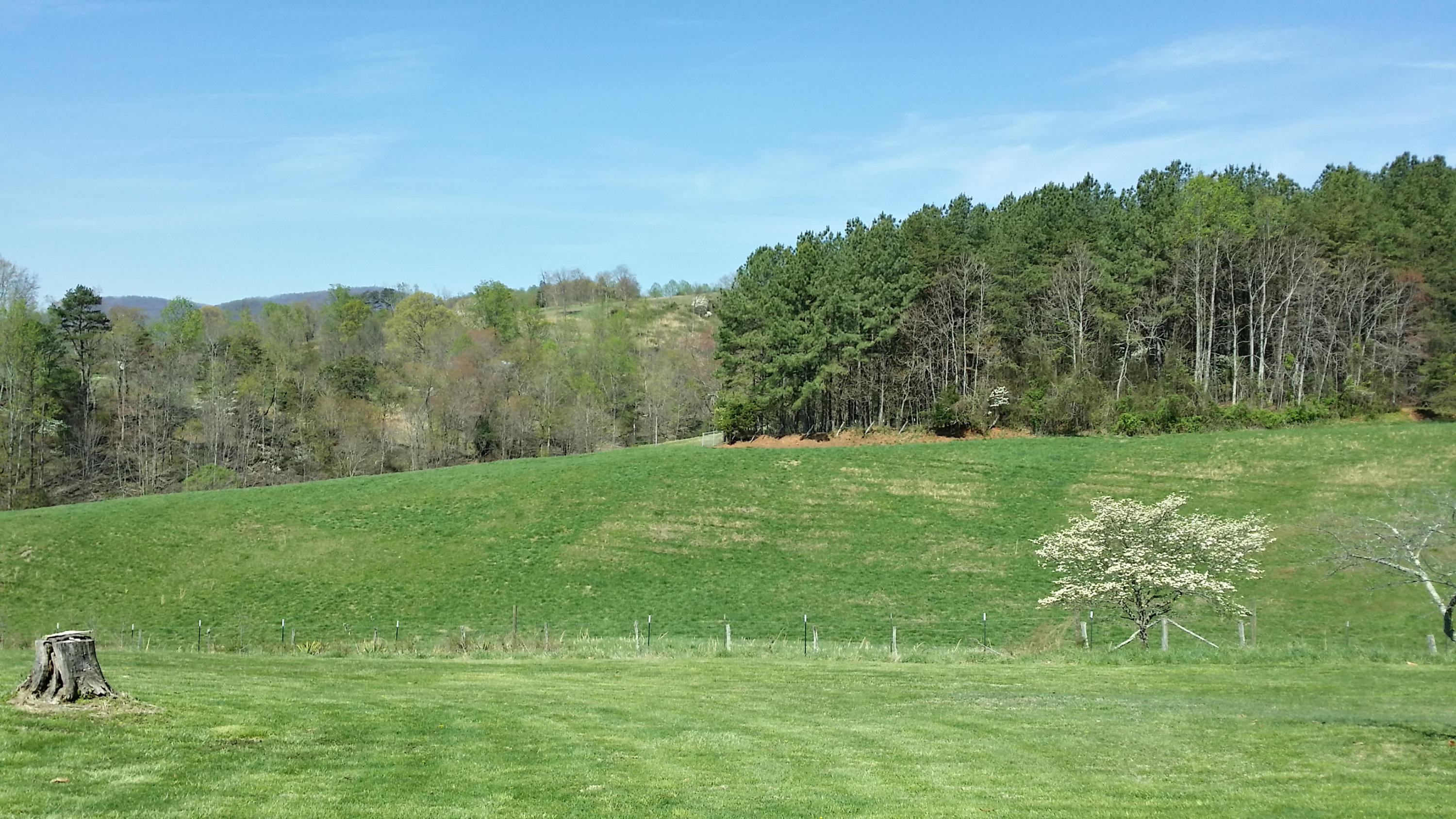 1388 Shadow Mountain Lane Blue Ridge, VA 24064 - Photo 5 of 55 LAND