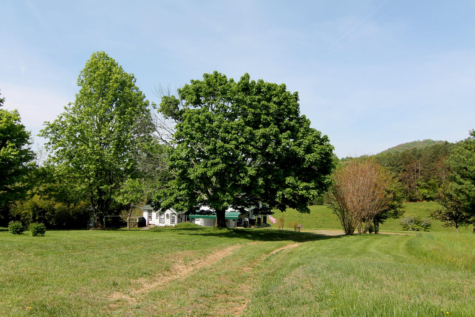 1388 Shadow Mountain Lane Blue Ridge, VA 24064 - Photo 47 of 55 IMG_1364