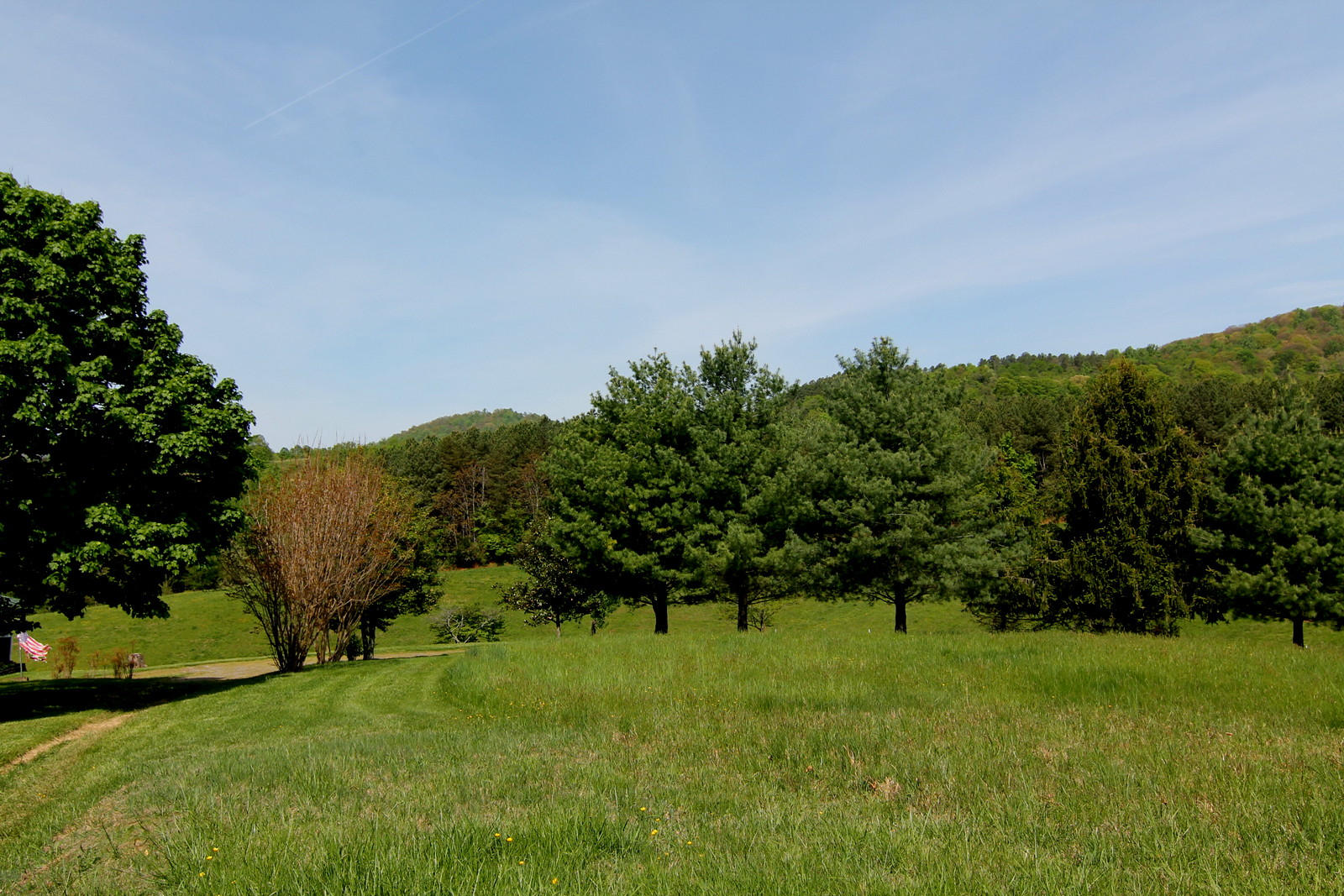 1388 Shadow Mountain Lane Blue Ridge, VA 24064 - Photo 48 of 55 IMG_1365