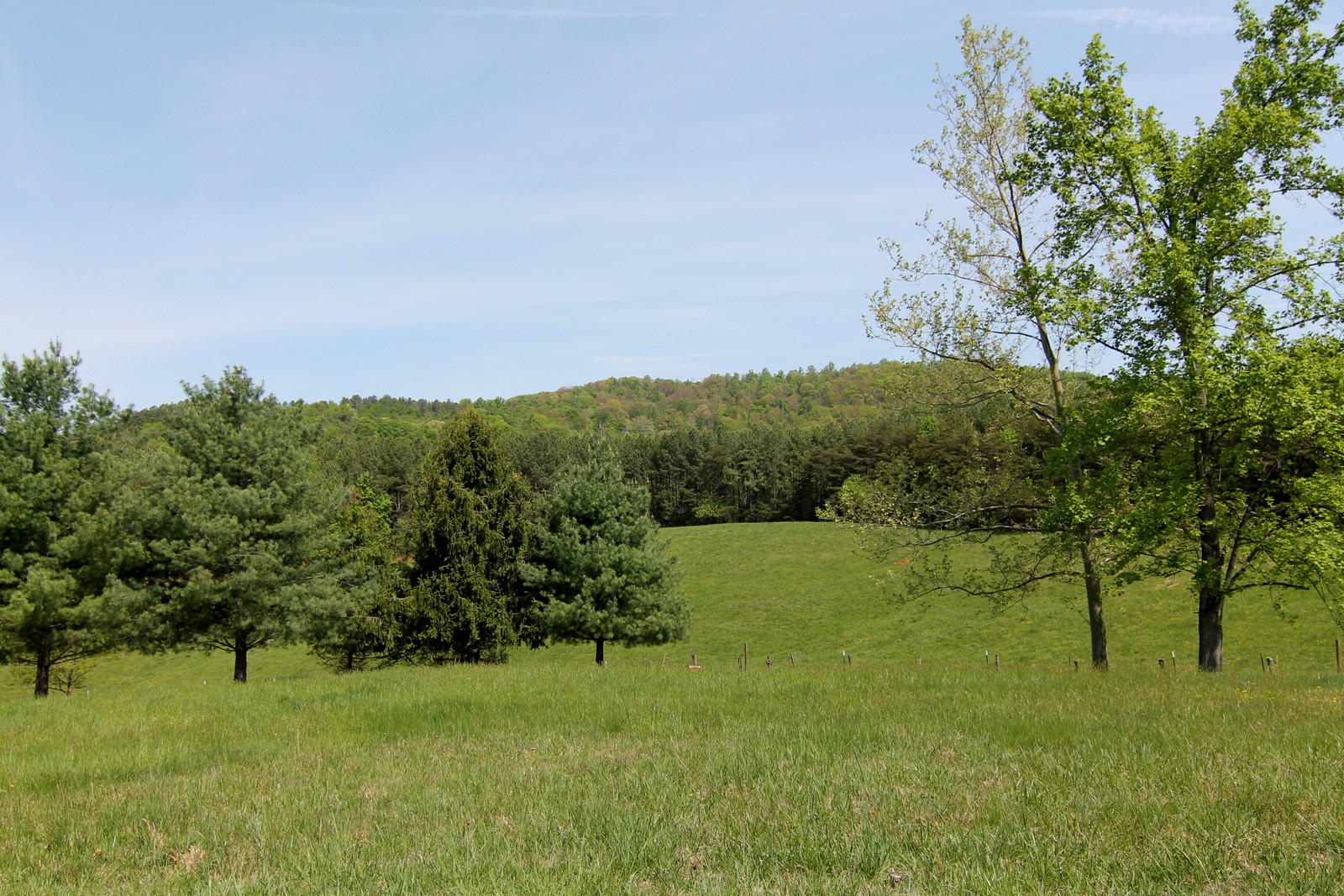 1388 Shadow Mountain Lane Blue Ridge, VA 24064 - Photo 49 of 55 IMG_1366