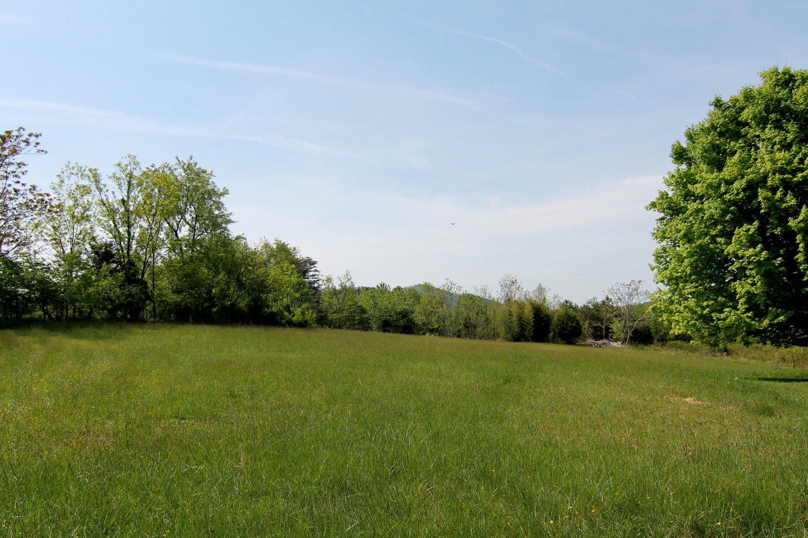 1388 Shadow Mountain Lane Blue Ridge, VA 24064 - Photo 50 of 55 IMG_1367