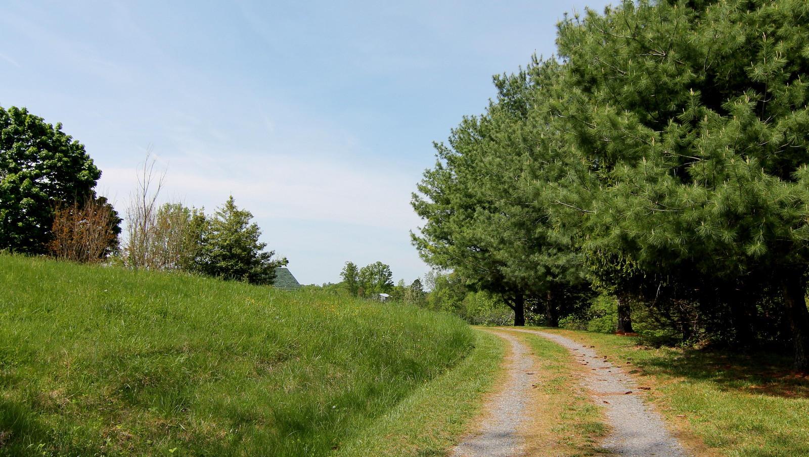 1388 Shadow Mountain Lane Blue Ridge, VA 24064 - Photo 53 of 55 IMG_1371