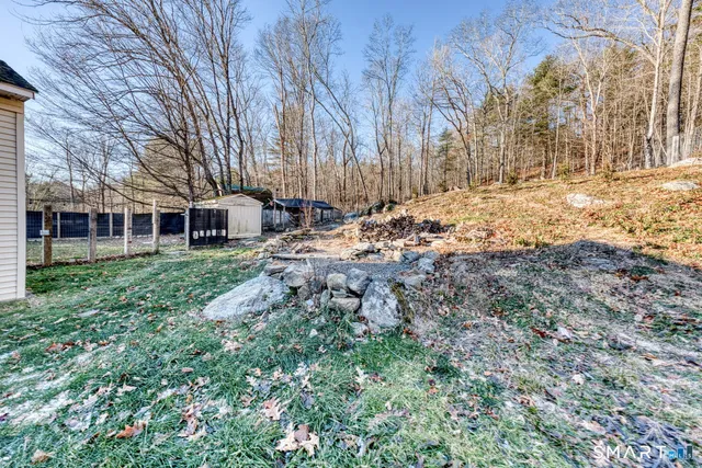 a view of house with backyard and tree