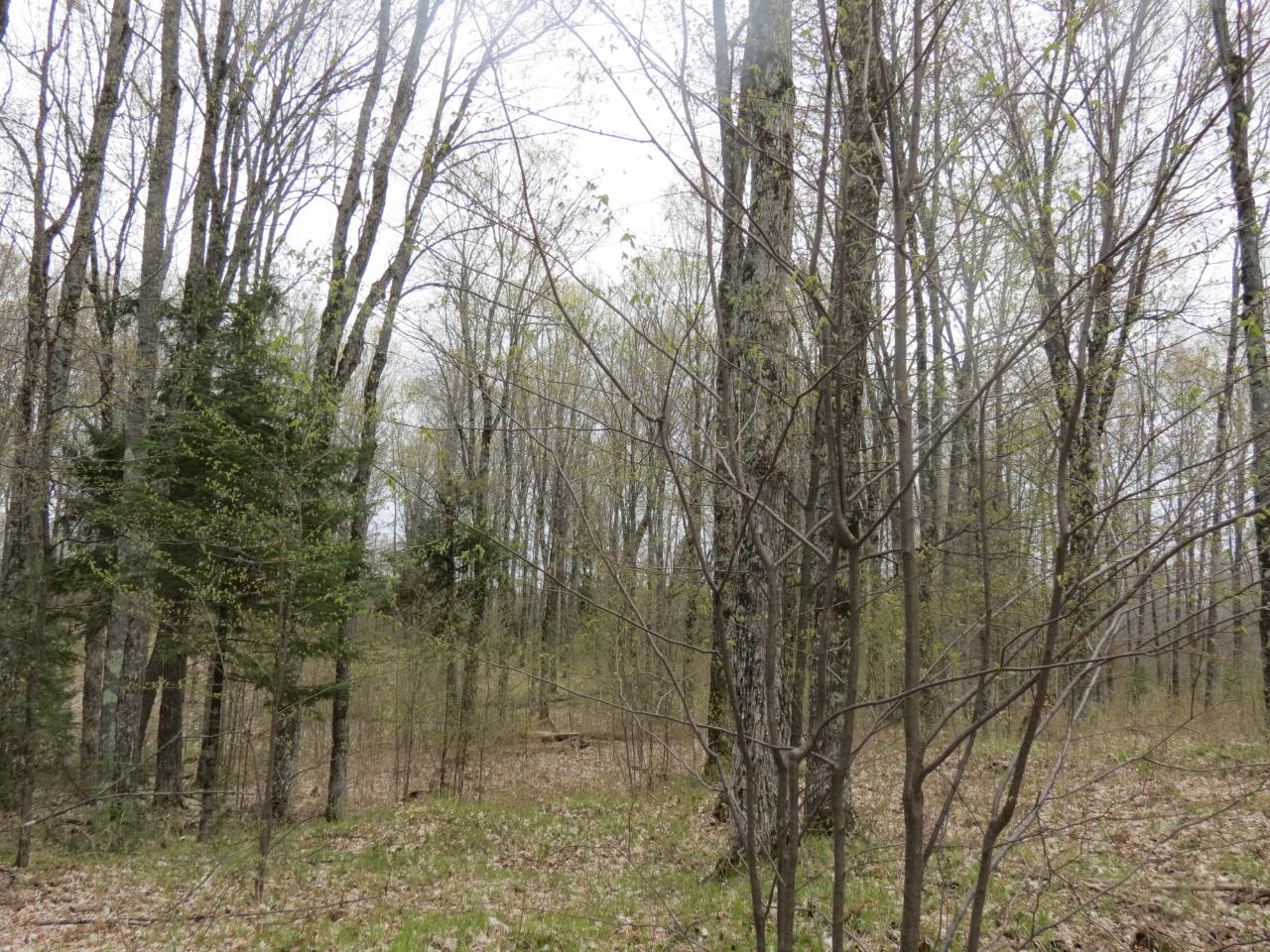 Off Lassig Road Rhinelander, WI 54501 - Photo 12 of 25 Gallery Image 12