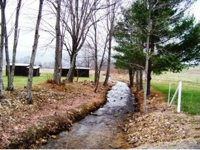 2146 Sluder Road Shady Valley, TN 37688 - Photo 6 of 8 HIGH VOLUME CREEK