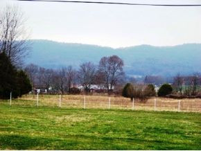 2146 Sluder Road Shady Valley, TN 37688 - Photo 7 of 8 VIEW TOWARDS APPALACIAN TRAIL