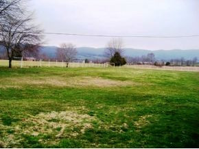 2146 Sluder Road Shady Valley, TN 37688 - Photo 8 of 8 BACK YARD FACING NORTHWEST