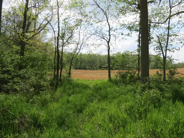 $475,000 | South Stony Lake Road, Unit A, Jackson, MI 49201
