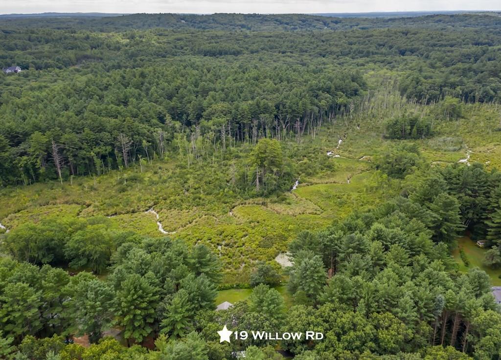 19 Willow Road Boxford, MA 01921 - Photo 2 of 32 a view of a lush green forest with trees and some houses