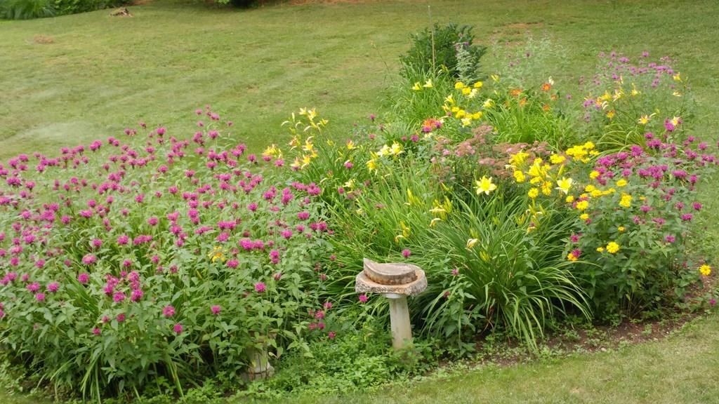 19 Willow Road Boxford, MA 01921 - Photo 30 of 32 a view of a garden with a fountain