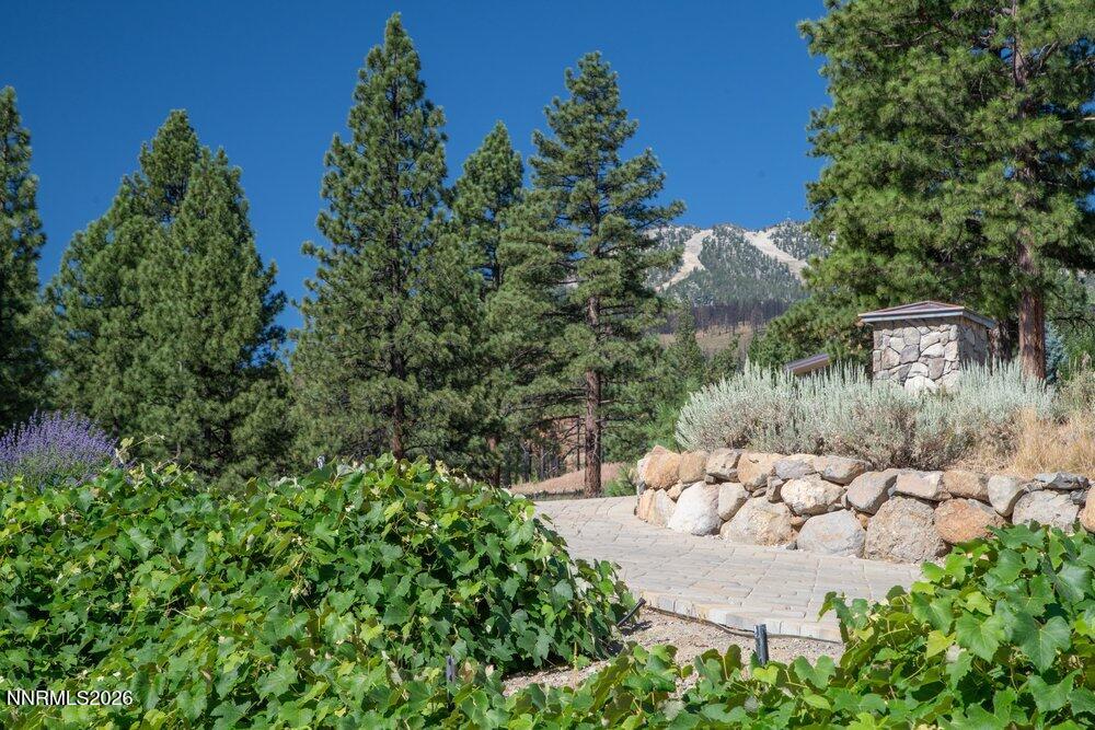 4810 West Pinewild Road Reno, NV 89511 - Photo 70 of 88 071_dsc09597_213