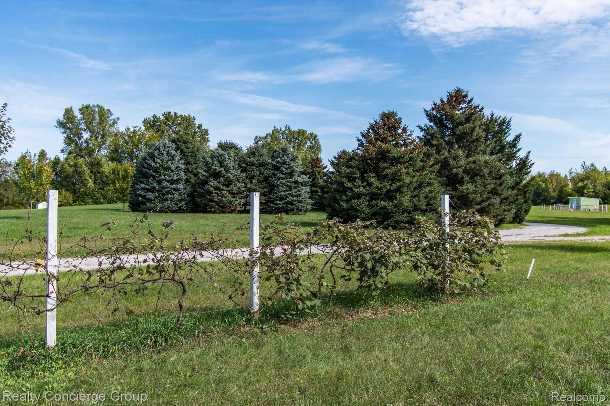 5150 North Fowlerville Road Fowlerville, MI 48836 - Photo 37 of 44 Tons of trees