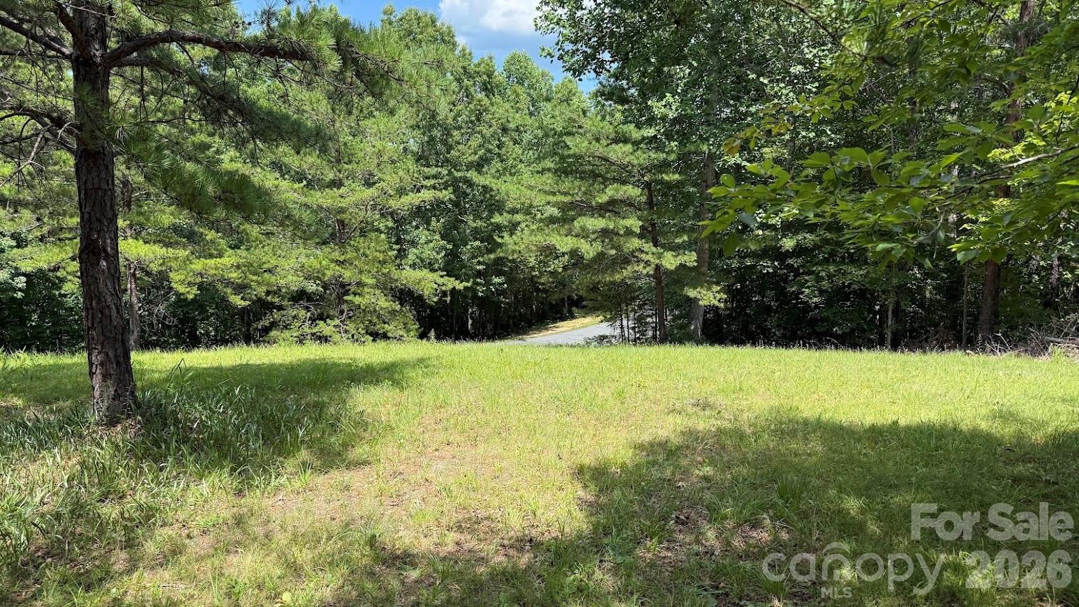 0 Fallen Tree Lane, Unit 19 Mill Spring, NC 28756 - Photo 4 of 12