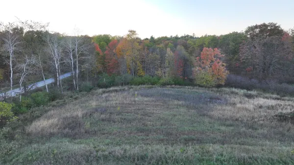 $59,900 | V/l 136th Street, Sand Lake, MI 49343