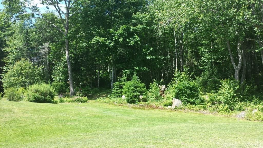 33 Hale Pond Road Wiscasset, ME 04578 - Photo 3 of 35 Photo