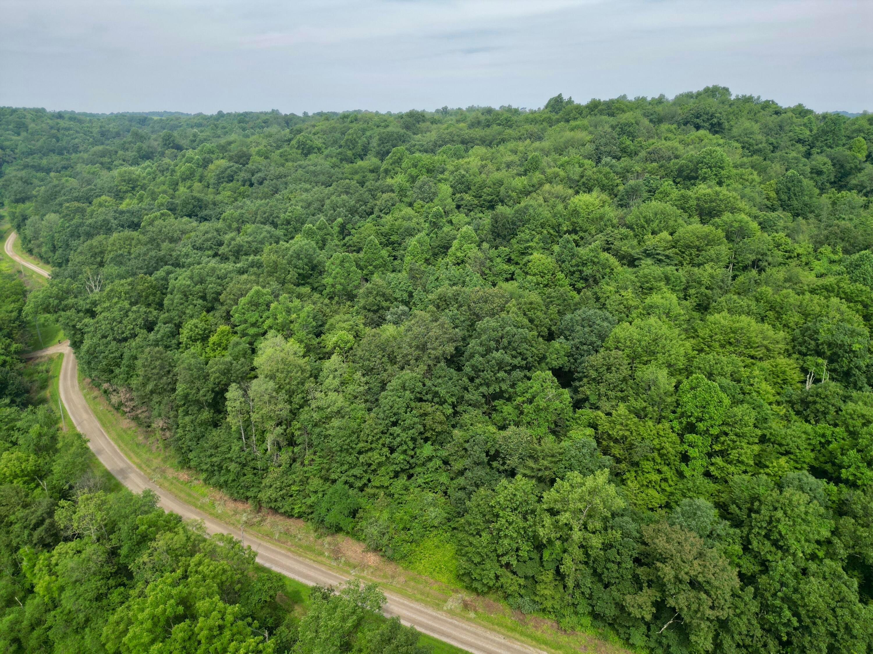 0 Township Road Dresden, OH 43821 - Photo 20 of 36 dji_fly_20250721_111416_431_175311013361