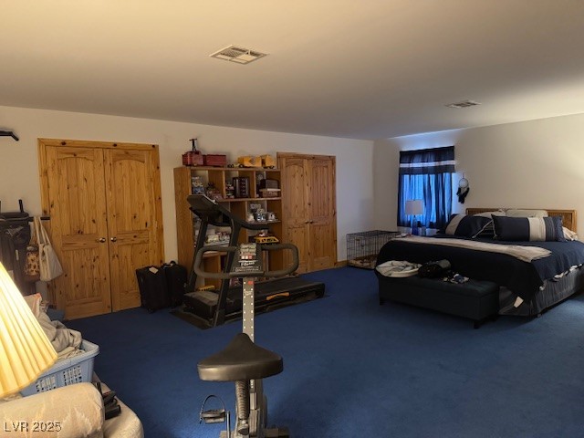 1560 Fort Churchill Road Pahrump, NV 89060 - Photo 11 of 24 Carpeted bedroom featuring a closet