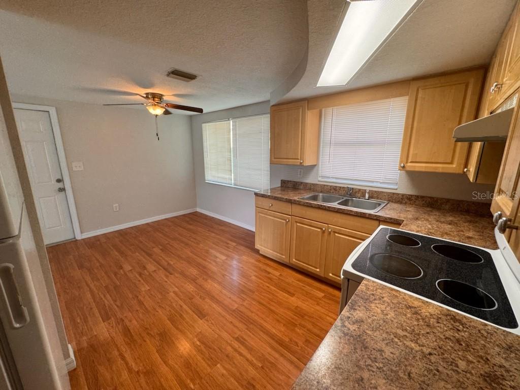 10731 Premier Avenue Port Richey, FL 34668 - Photo 7 of 19
