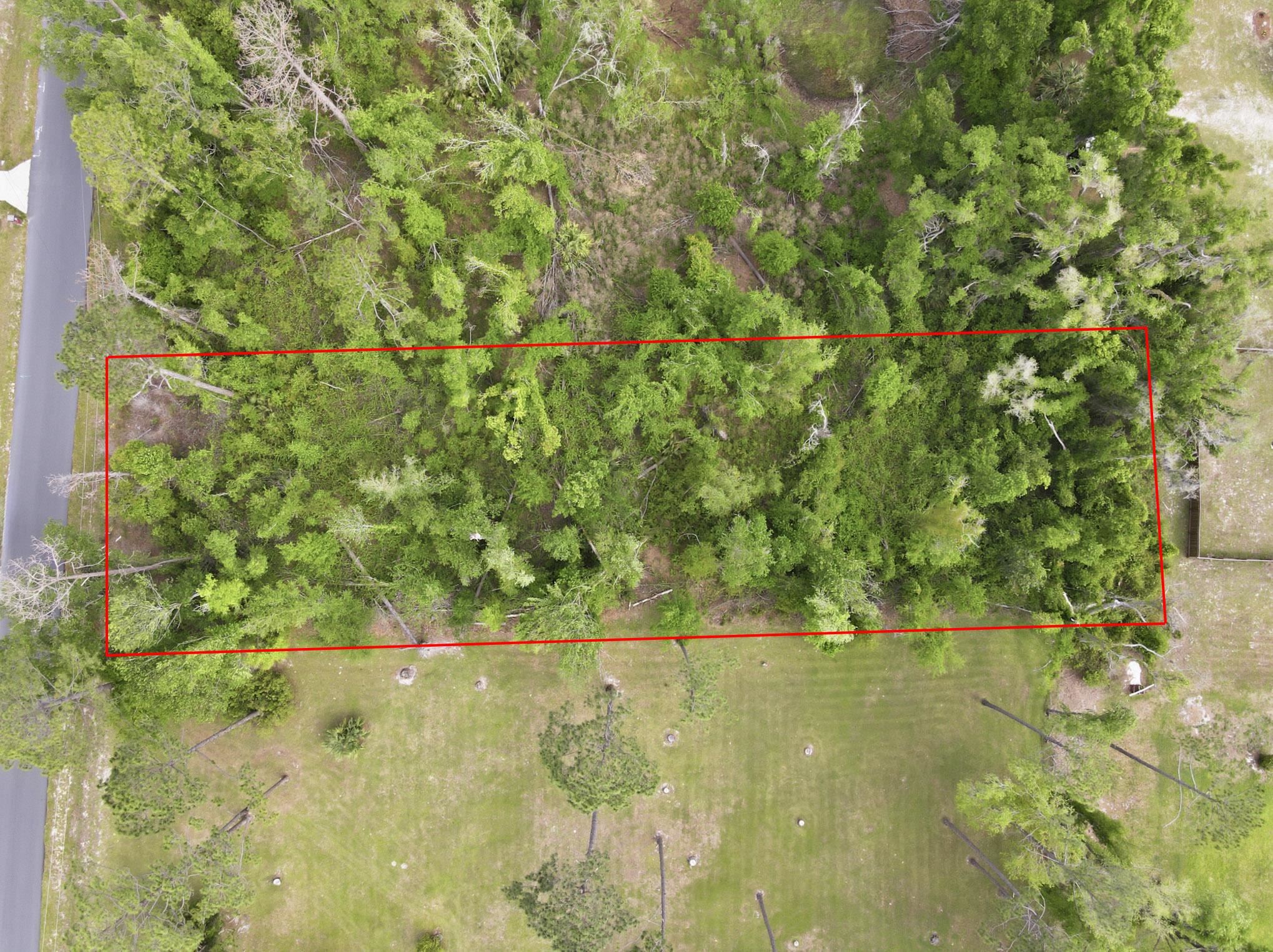 805 Judson Drive Perry, FL 32348 - Photo 7 of 10