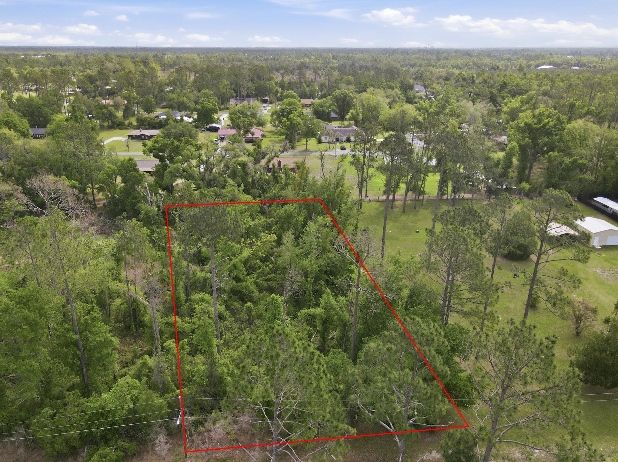805 Judson Drive Perry, FL 32348 - Photo 9 of 10
