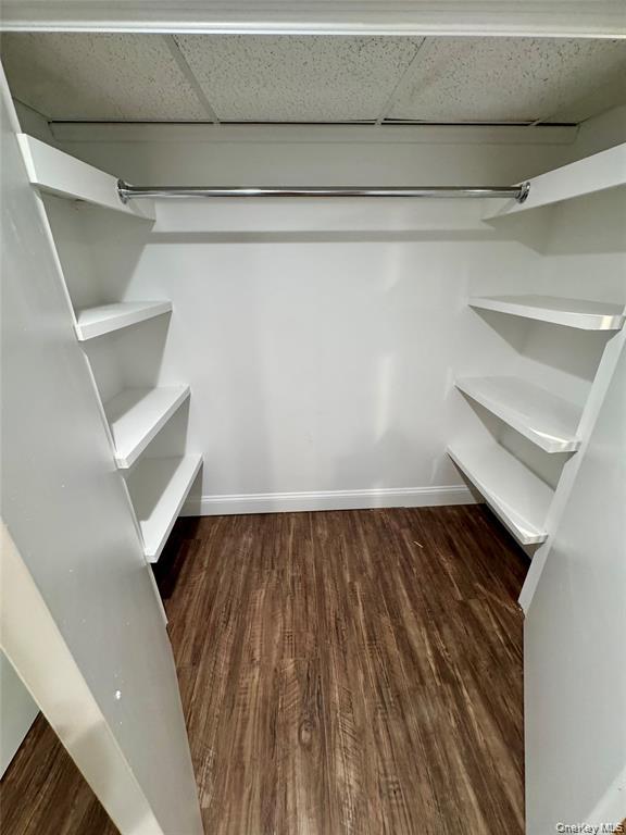 47 South Middletown Road, Unit 3 Pearl River, NY 10965 - Photo 9 of 10 a view of an empty walk in closet