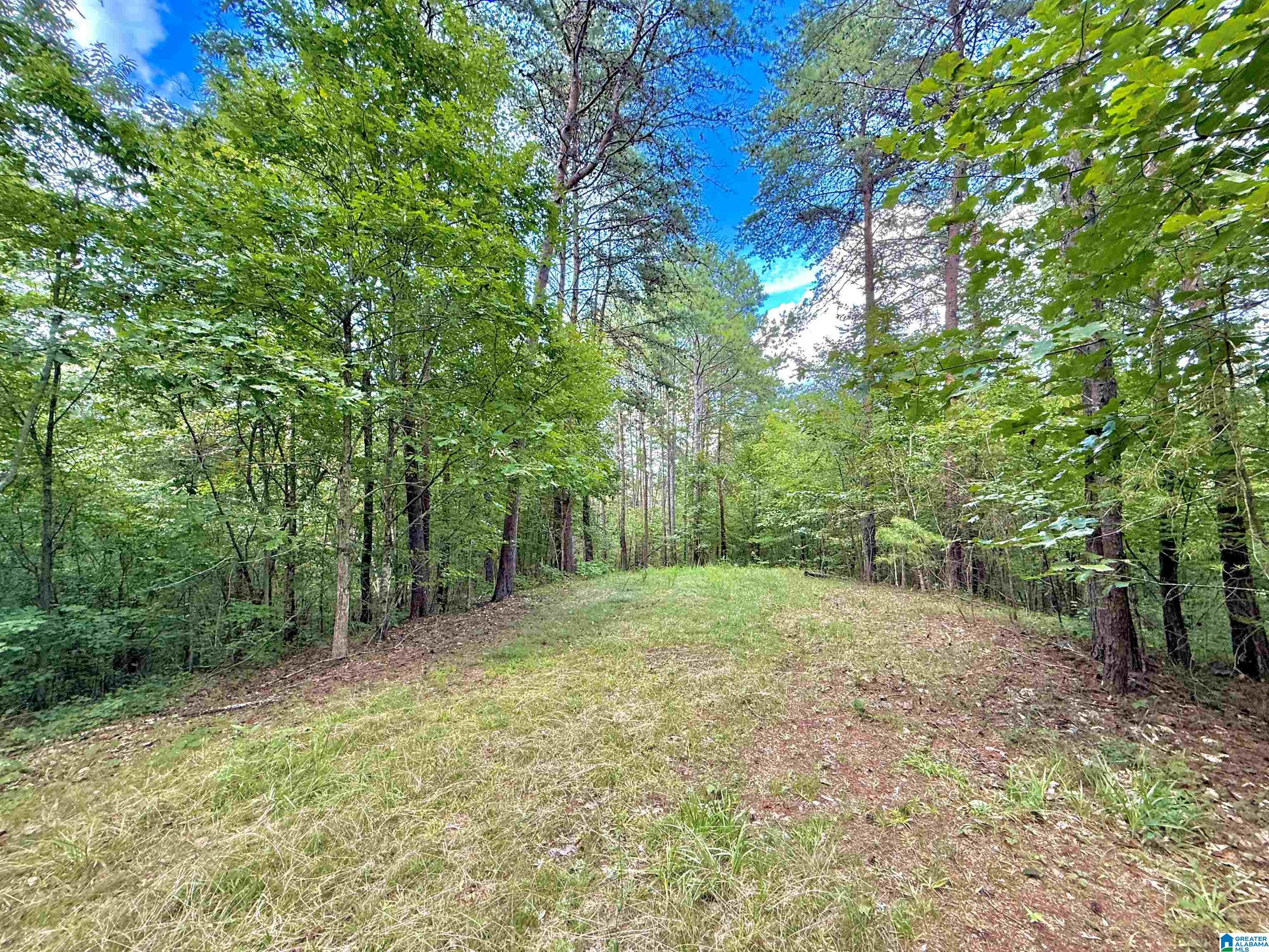 561 Maple Ridge Calera, AL 35040 - Photo 53 of 71