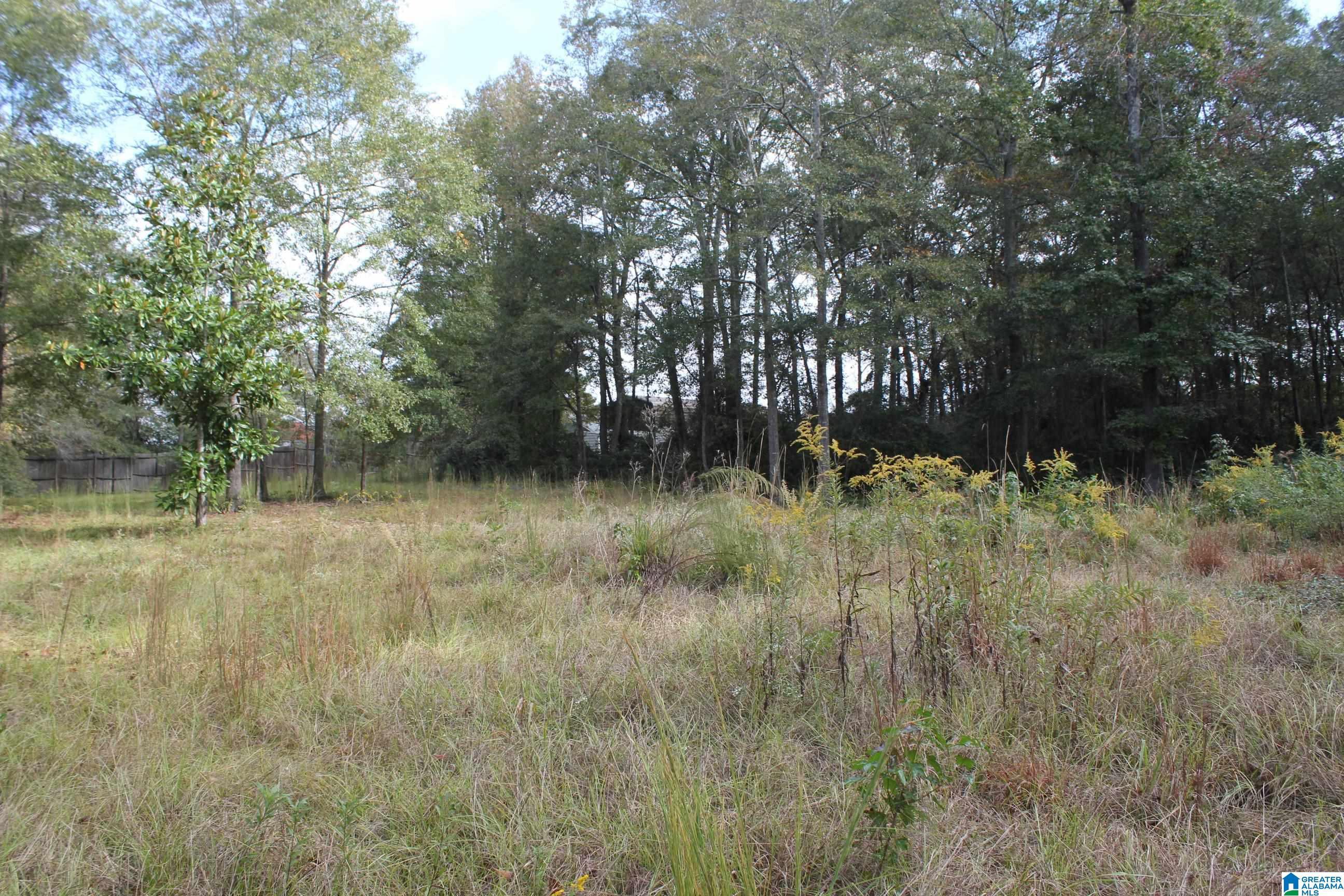 0 Highway 191 Jemison, AL 35085 - Photo 1 of 5
