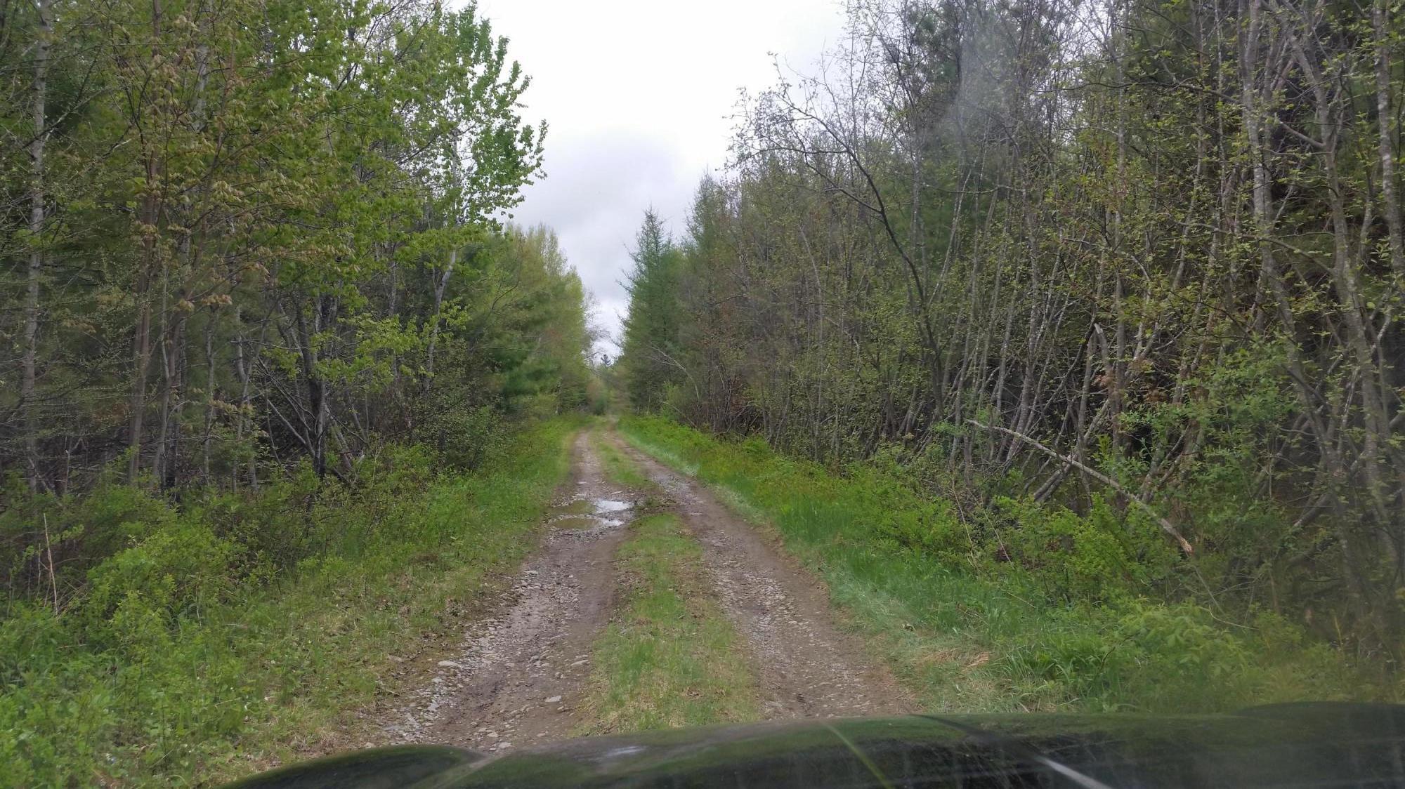 Lot 4 Emery Farm Road Medford, ME 04463 - Photo 2 of 16 Polek (2)