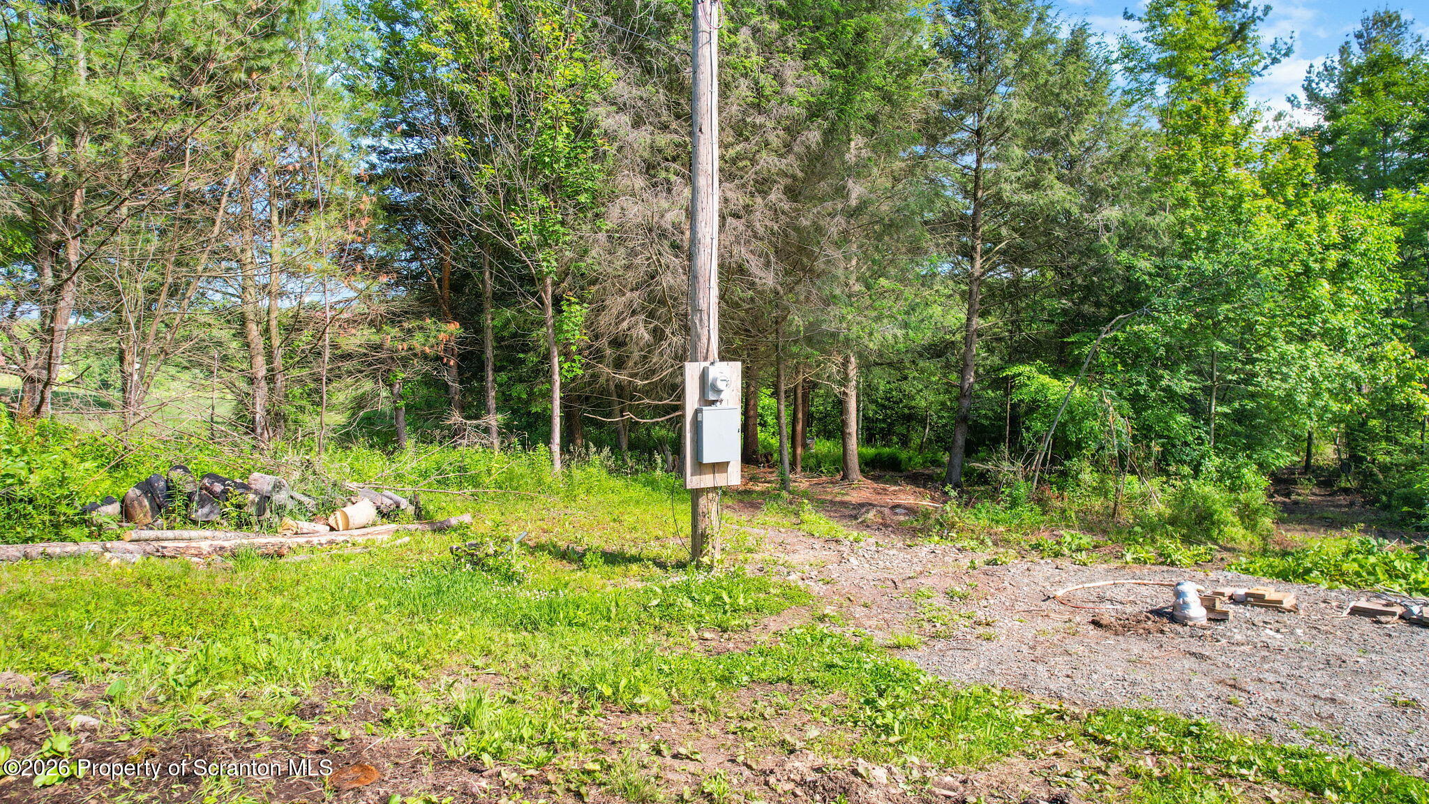 9015 Laurel Lake Road Montrose, PA 18801 - Photo 1 of 25 a view of a park with large trees