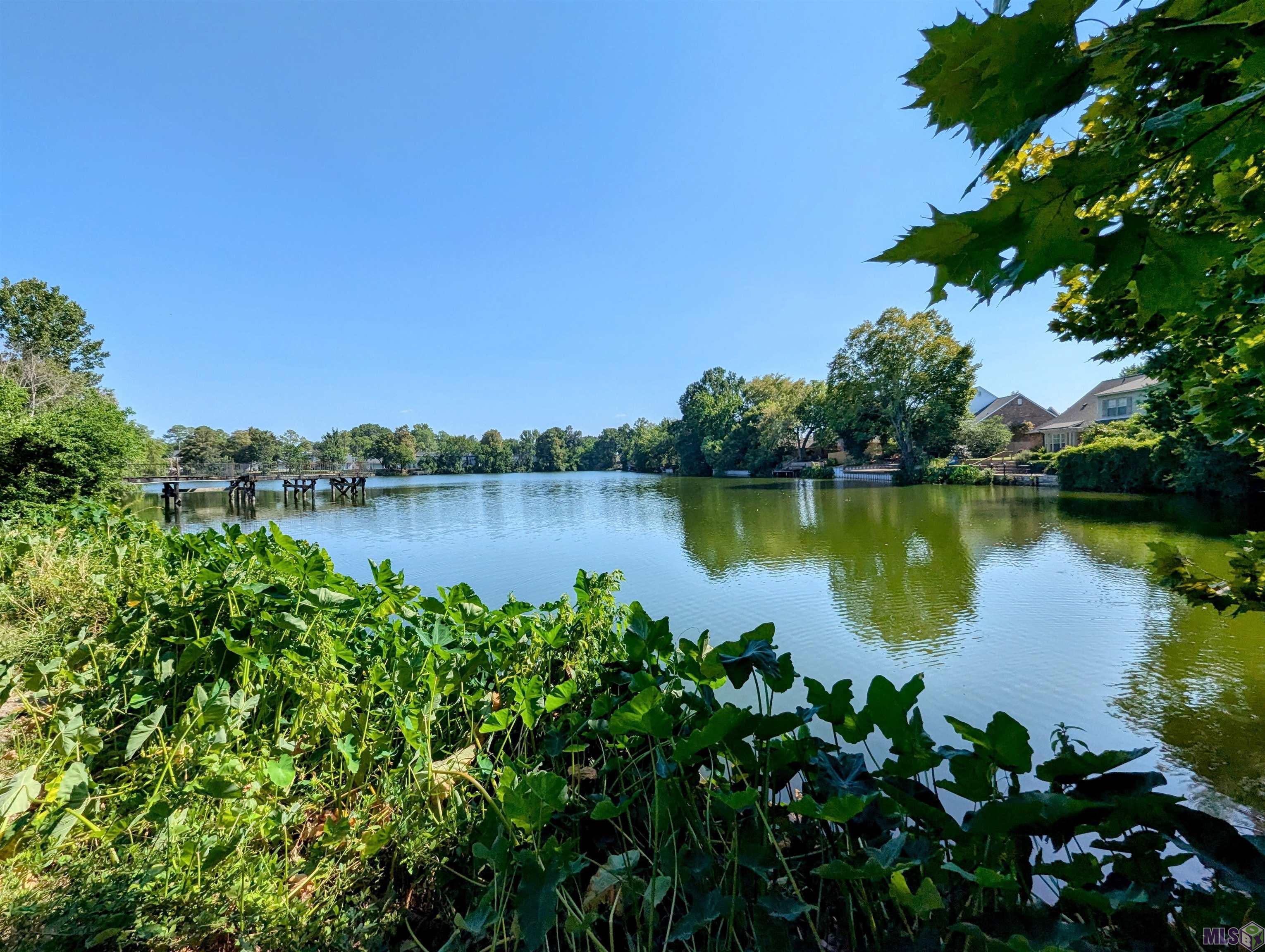 10286 West Winston Avenue, Unit 7 Baton Rouge, LA 70809 - Photo 6 of 11