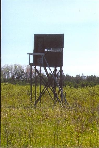 3478 North Dorr Road Merritt, MI 49667 - Photo 1 of 9 Primary Photo