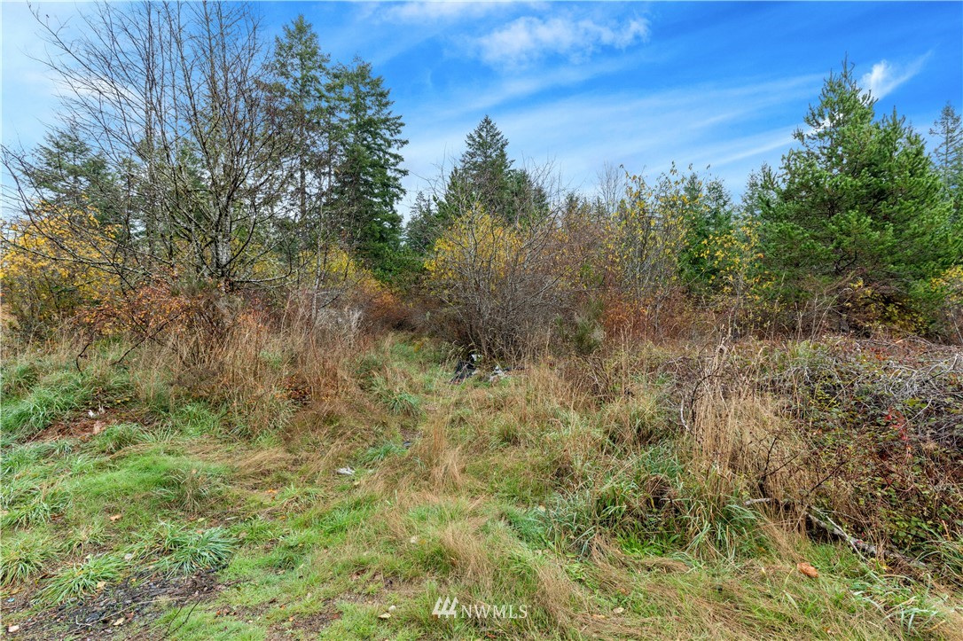 0 West Buck Prairie Road Elma, WA 98541 - Photo 2 of 12 Gallery Image 2