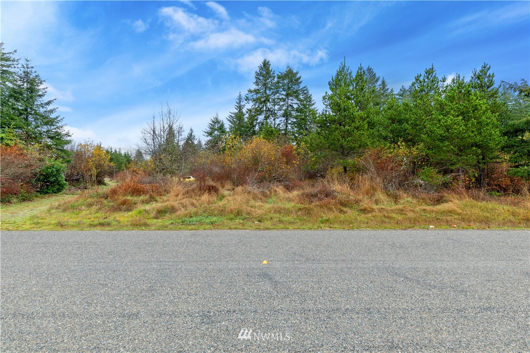 0 West Buck Prairie Road Elma, WA 98541 - Photo 3 of 12 Gallery Image 3
