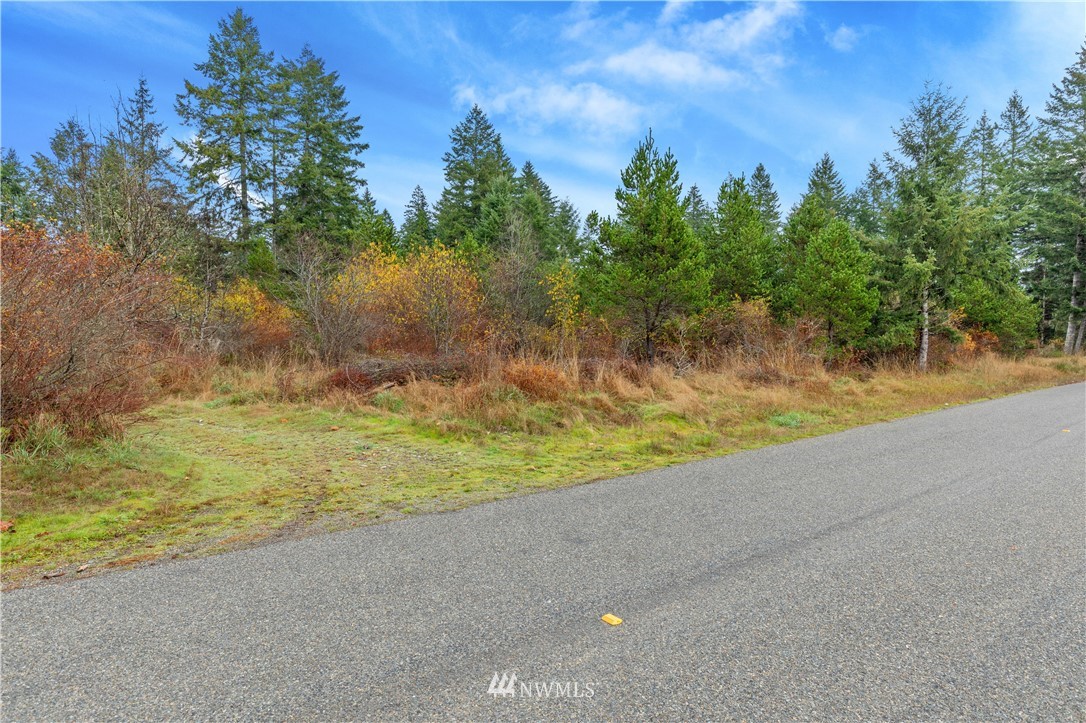 0 West Buck Prairie Road Elma, WA 98541 - Photo 4 of 12 Gallery Image 4