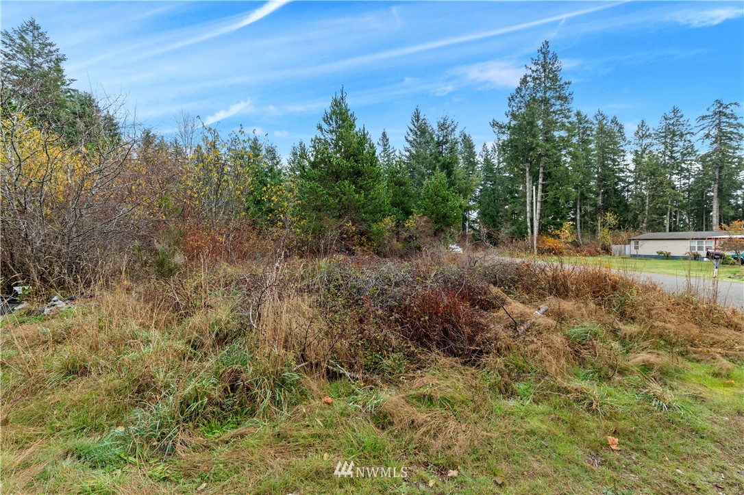 0 West Buck Prairie Road Elma, WA 98541 - Photo 5 of 12 Gallery Image 5