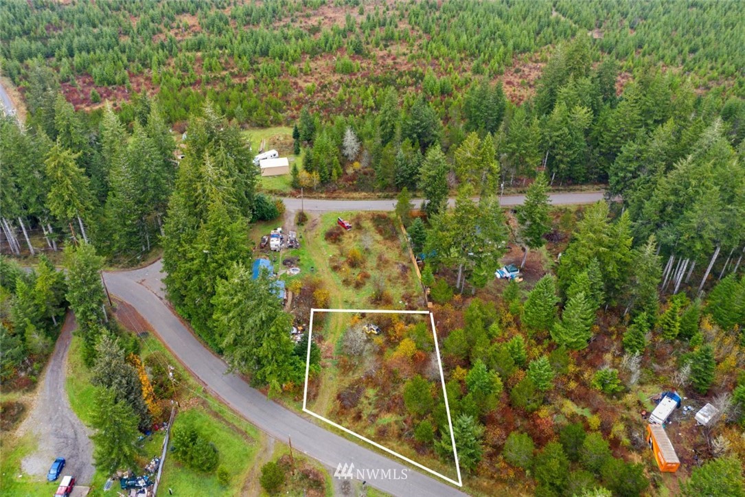 0 West Buck Prairie Road Elma, WA 98541 - Photo 8 of 12 Gallery Image 8