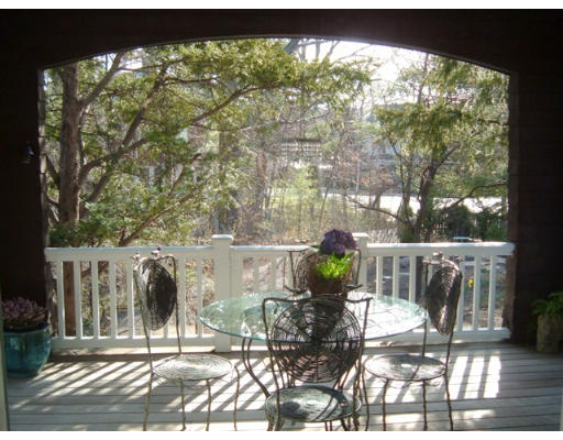 233 Clinton Road Brookline, MA 02445 - Photo 6 of 6 a view of yard from balcony