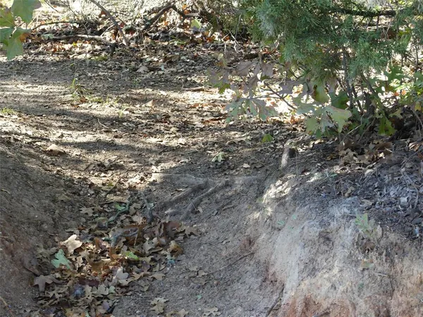 a view of a dry yard