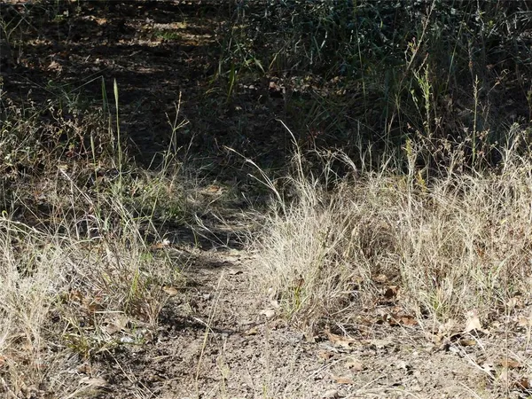 a backyard of a house with large trees