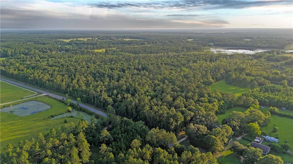 Nhn Salem Road Picayune, MS 39466 - Photo 3 of 11