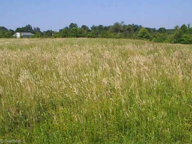 4970 McGee Road Walkertown, NC 27051 - Photo 5 of 5 Other. One of the adjoining lots.