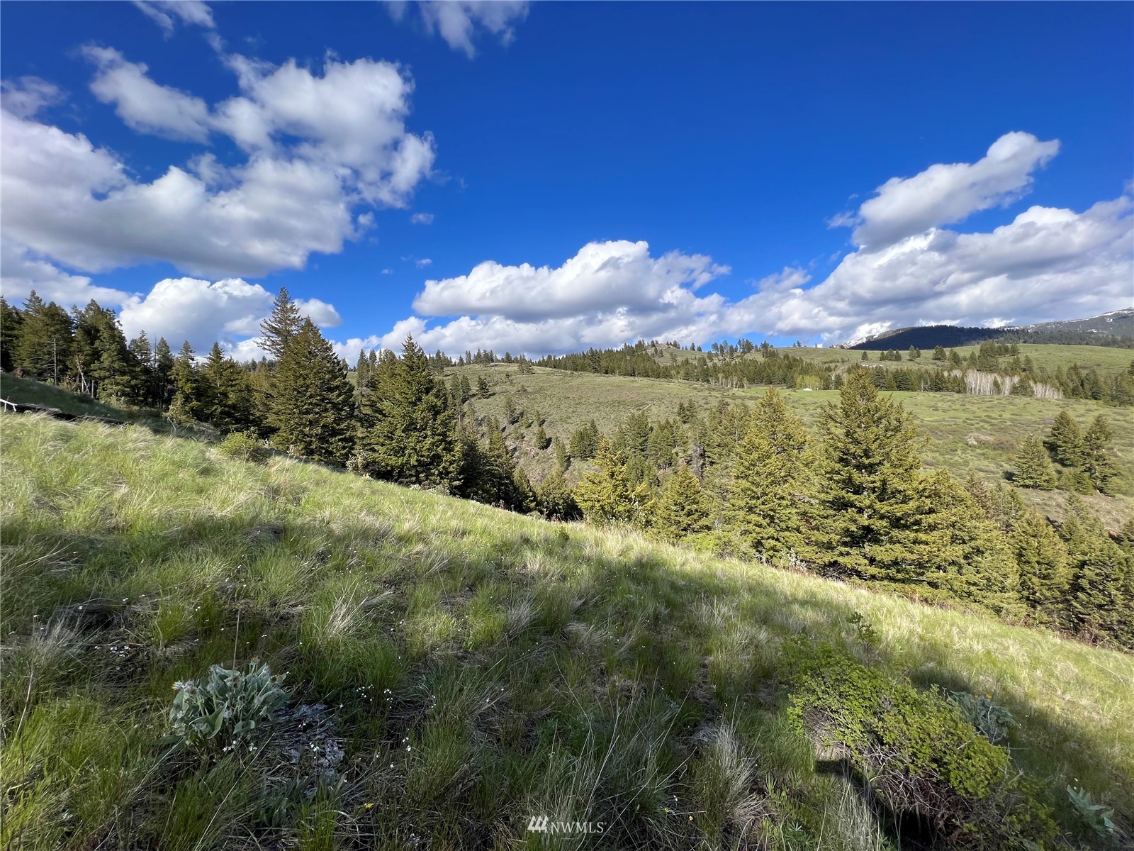 34 Wildman Road Republic, WA 99166 - Photo 1 of 25 Gallery Image 1