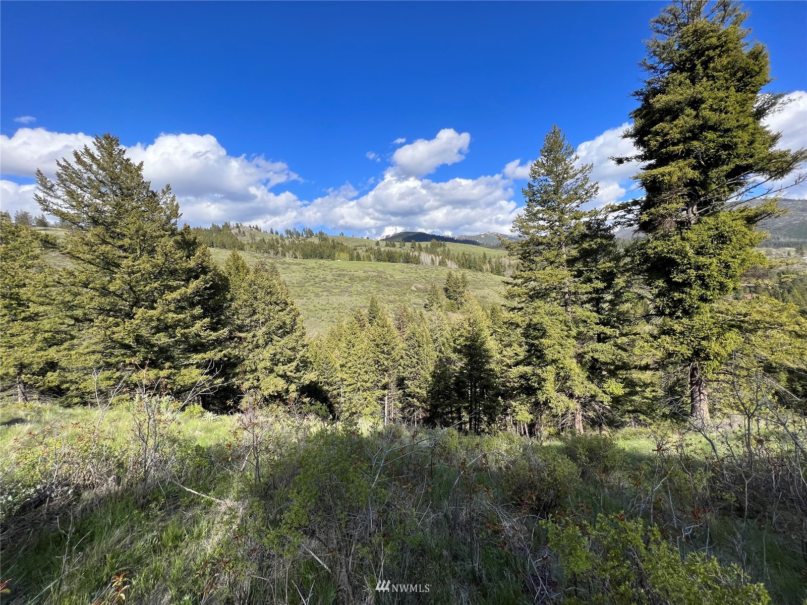 34 Wildman Road Republic, WA 99166 - Photo 11 of 25 Gallery Image 11
