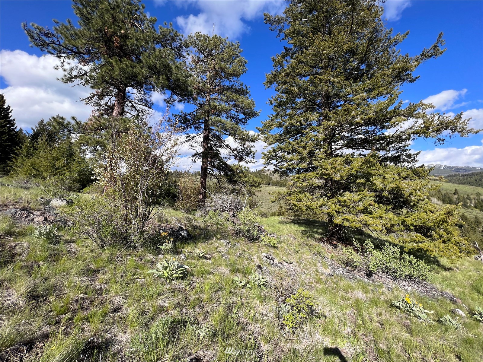 34 Wildman Road Republic, WA 99166 - Photo 23 of 25 Gallery Image 23