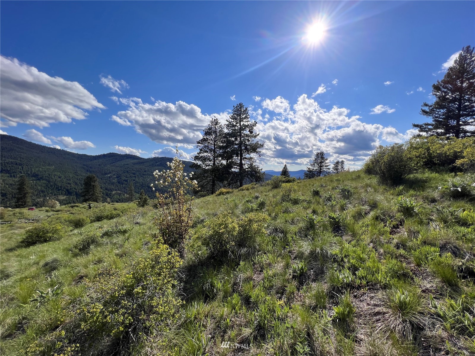 34 Wildman Road Republic, WA 99166 - Photo 24 of 25 Gallery Image 24